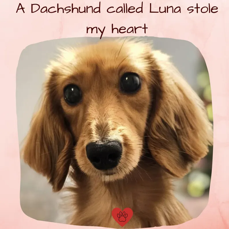 dachshund sausage dog necklace