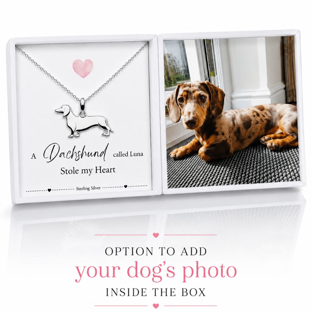 sterling silver dachshund dog personalised jewllery gift